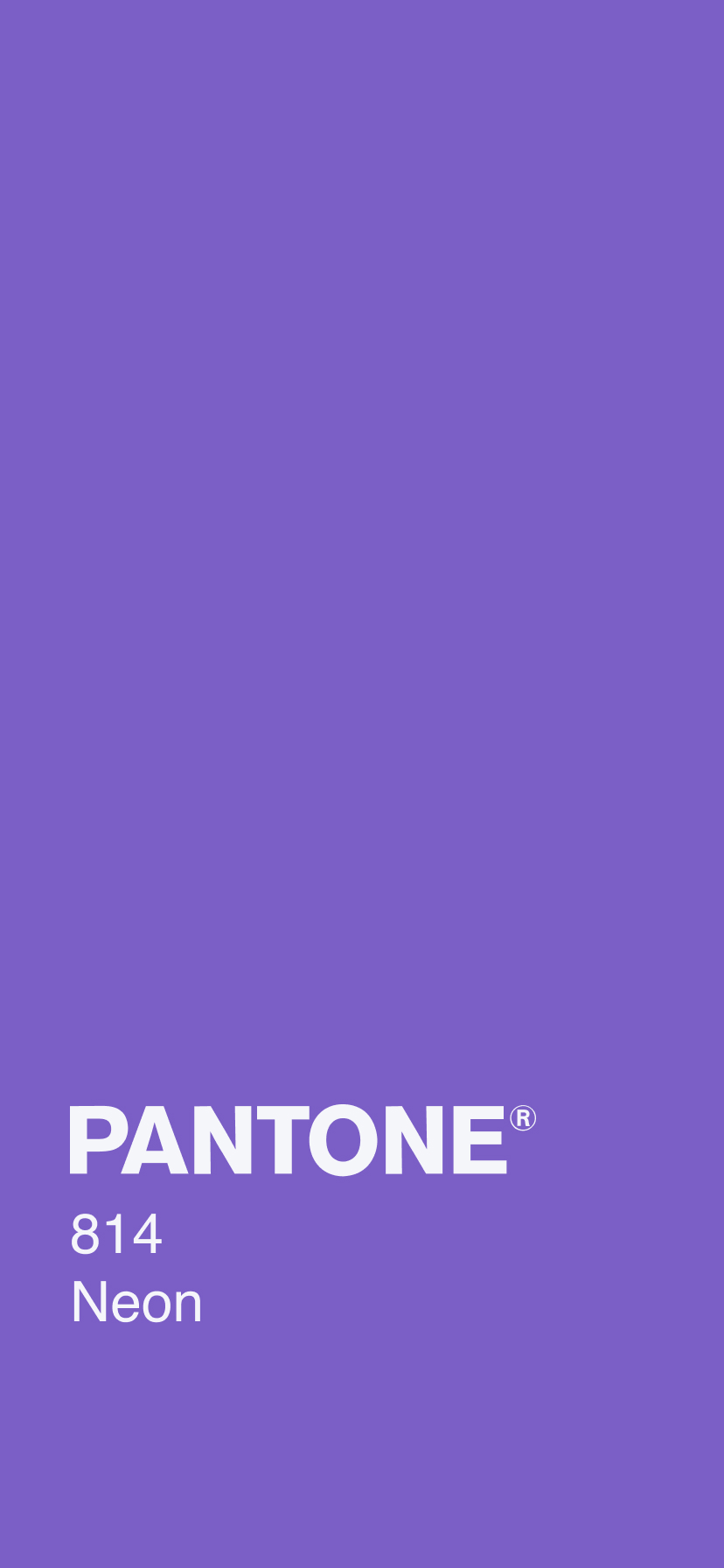 plain neon purple backgrounds