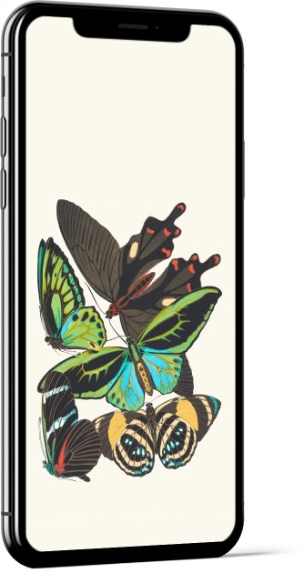 Papillons, Pl. 1 by Emile-Allain Séguy Wallpaper