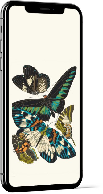 Papillons, Pl. 10 by Emile-Allain Séguy Wallpaper