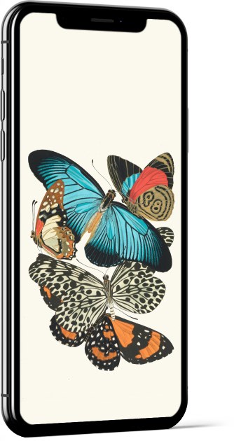 Papillons, Pl. 11 by Emile-Allain Séguy Wallpaper