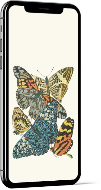 Papillons, Pl. 3 by Emile-Allain Séguy Wallpaper