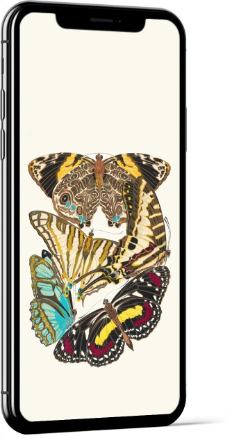 Papillons, Pl. 5 by Emile-Allain Séguy Wallpaper