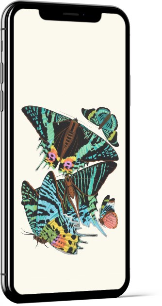 Papillons, Pl. 7 by Emile-Allain Séguy Wallpaper