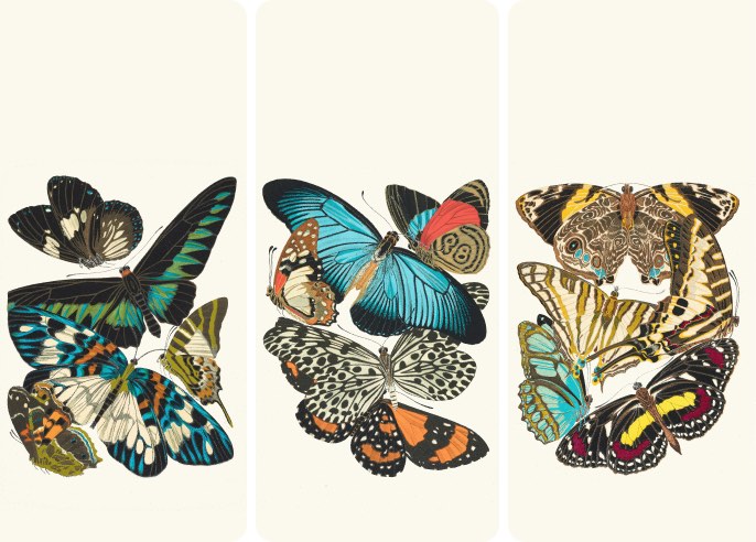 Papillons by Emile-Allain Séguy - Wallpaper Collection