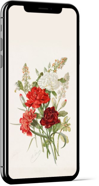 Carnations and Mignonette by Alois Lunzer Wallpaper