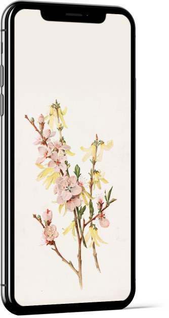 Peach Blossoms and Forsythia by Alois Lunzer Wallpaper