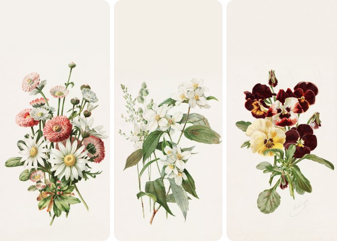 Botanical illustrations by Alois Lunzer - Wallpaper Collection