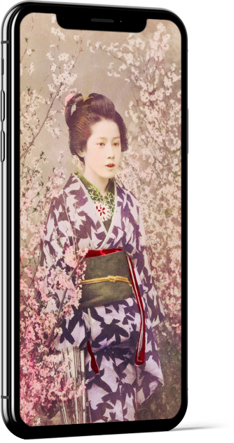 Geisha Cherry Blossom by Ogawa Kazumasa Wallpaper