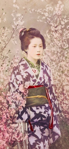 Geisha Cherry Blossom by Ogawa Kazumasa Wallpaper